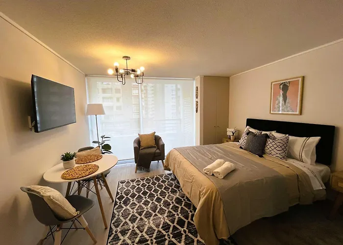 Hom I Inmejorable Studio 2Pax Con Terraza Santiago